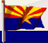 To The Arizona State Government WebSite